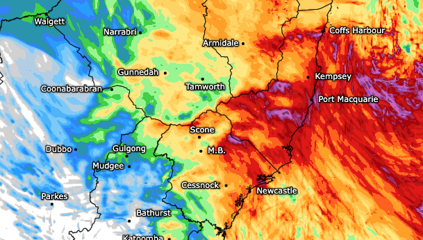 Read more about the article Rain Totals Update